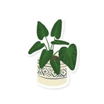 Alocasia Plant Sticker | House Plant Sticker