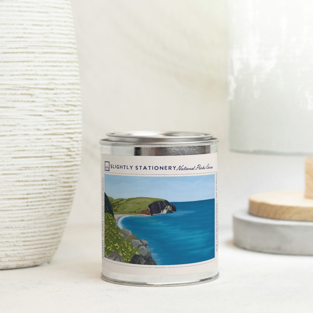 Channel Islands National Park 16 oz. Paint Can Candle