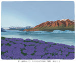 Variety Pack of Illustrated National Park Prints