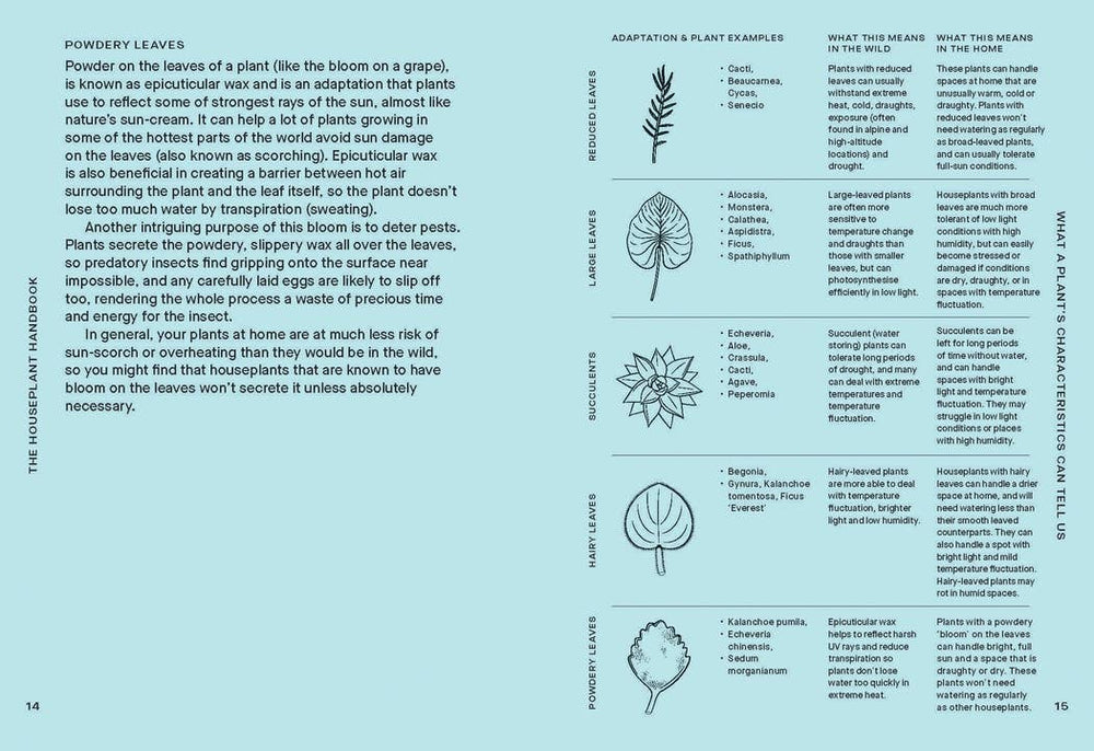 The Houseplant Handbook