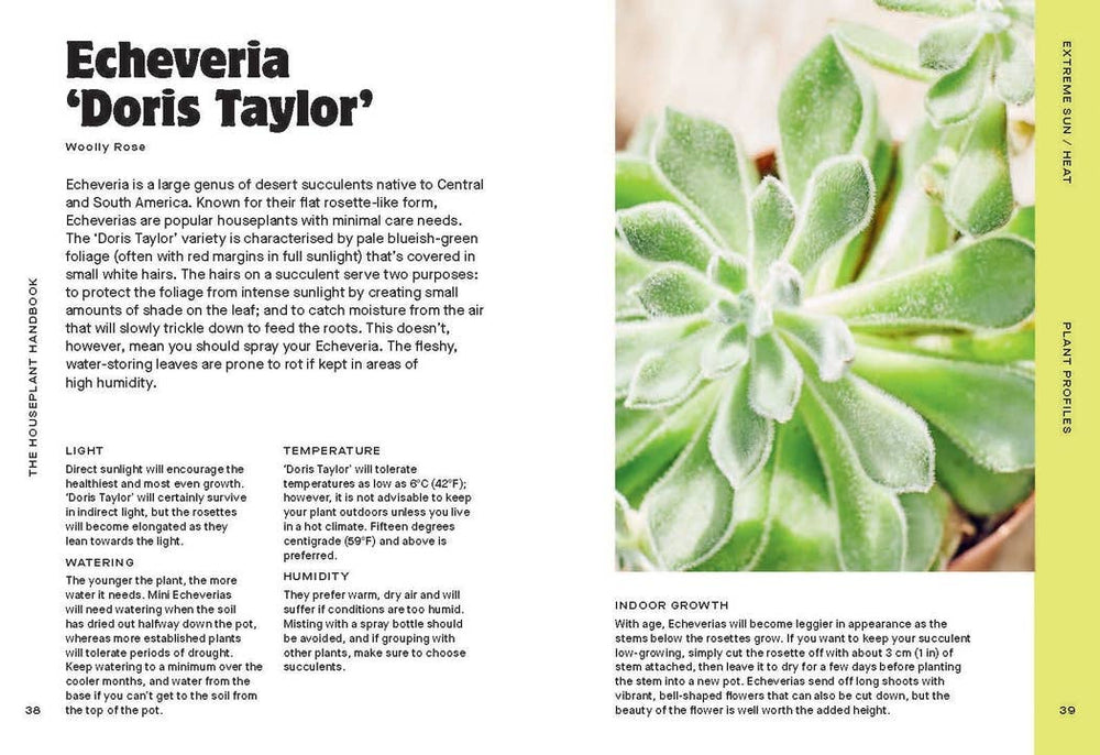 The Houseplant Handbook